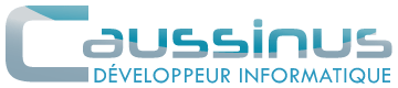Caussinus Developper Informatique